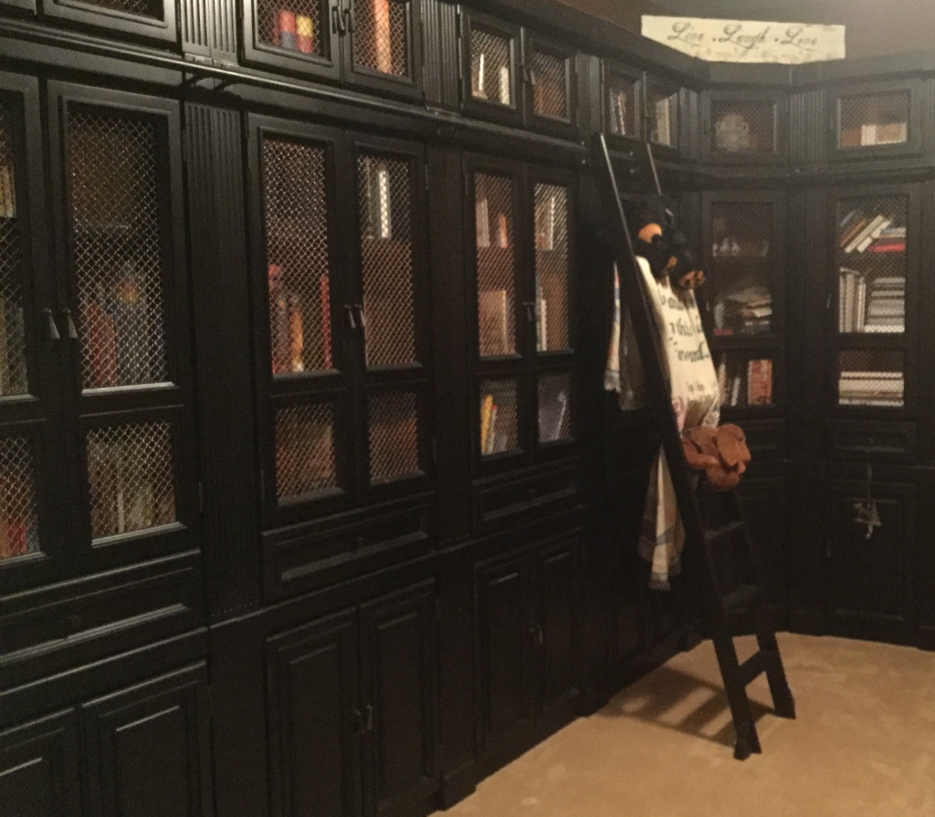 black bookcases filled with books and a rolling ladder on the right with a stuffed bear and a stuffed dog on the rungs